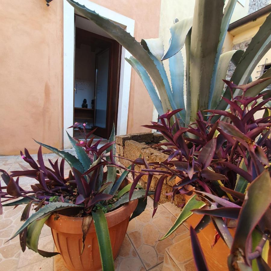Gesuitirooms Sona Bagian luar foto